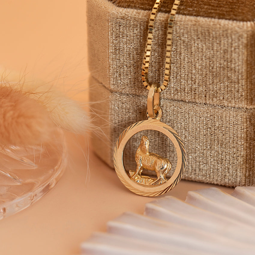 Gouden sterrenbeeld hanger ram 14 karaat