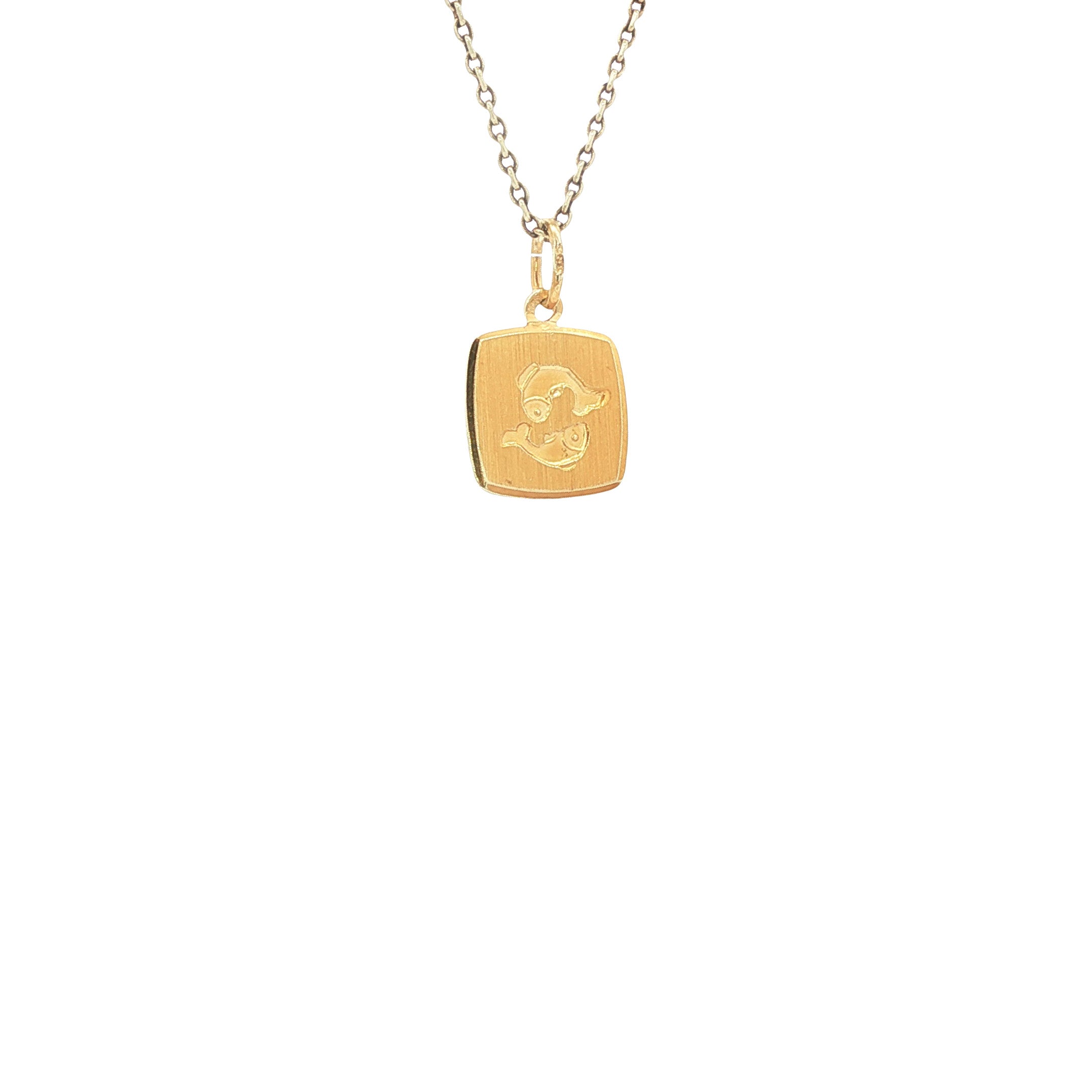 Gouden sterrenbeeld hanger vissen 14 karaat