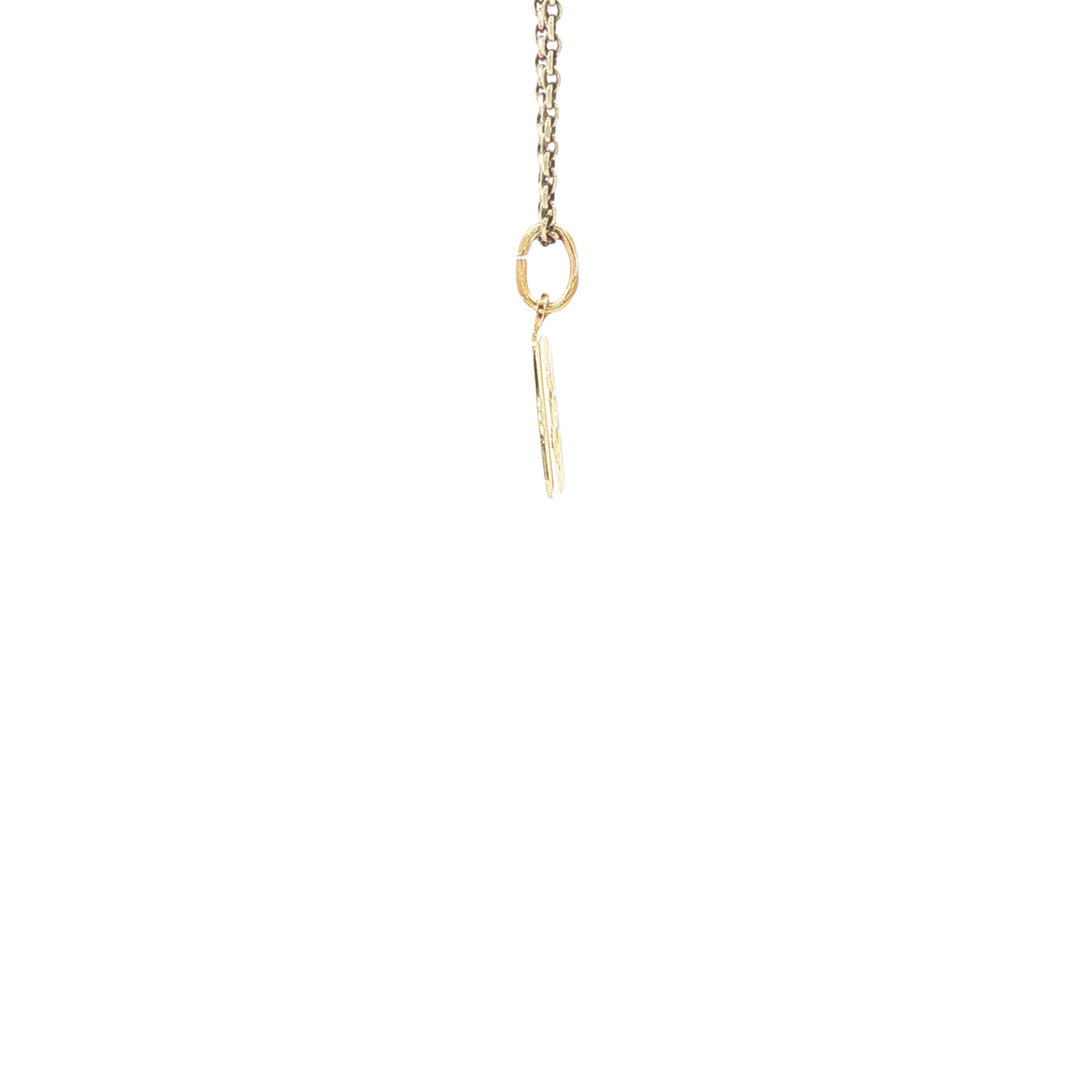 Gouden sterrenbeeld hanger vissen 14 karaat