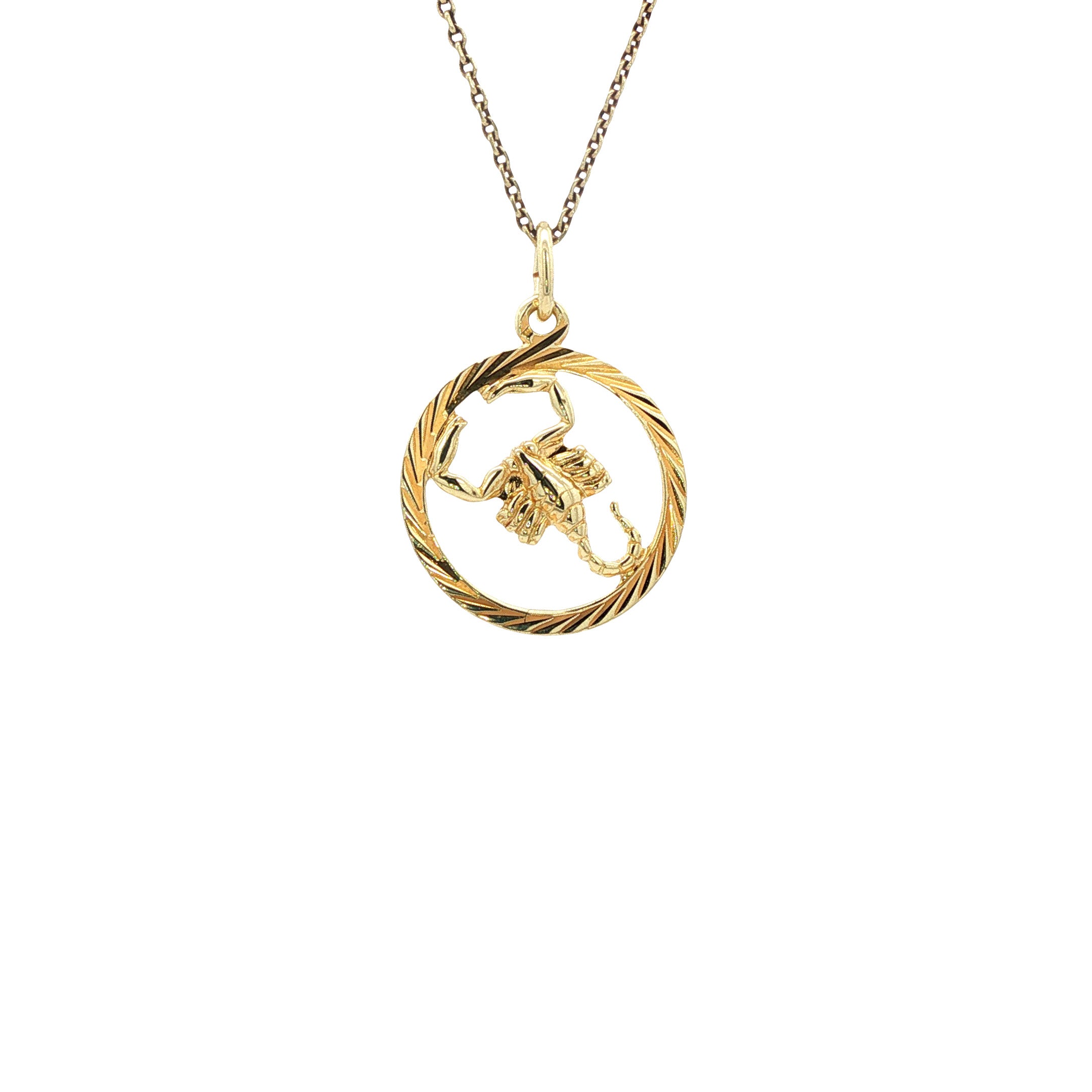 Gouden sterrenbeeld hanger schorpioen 14 karaat