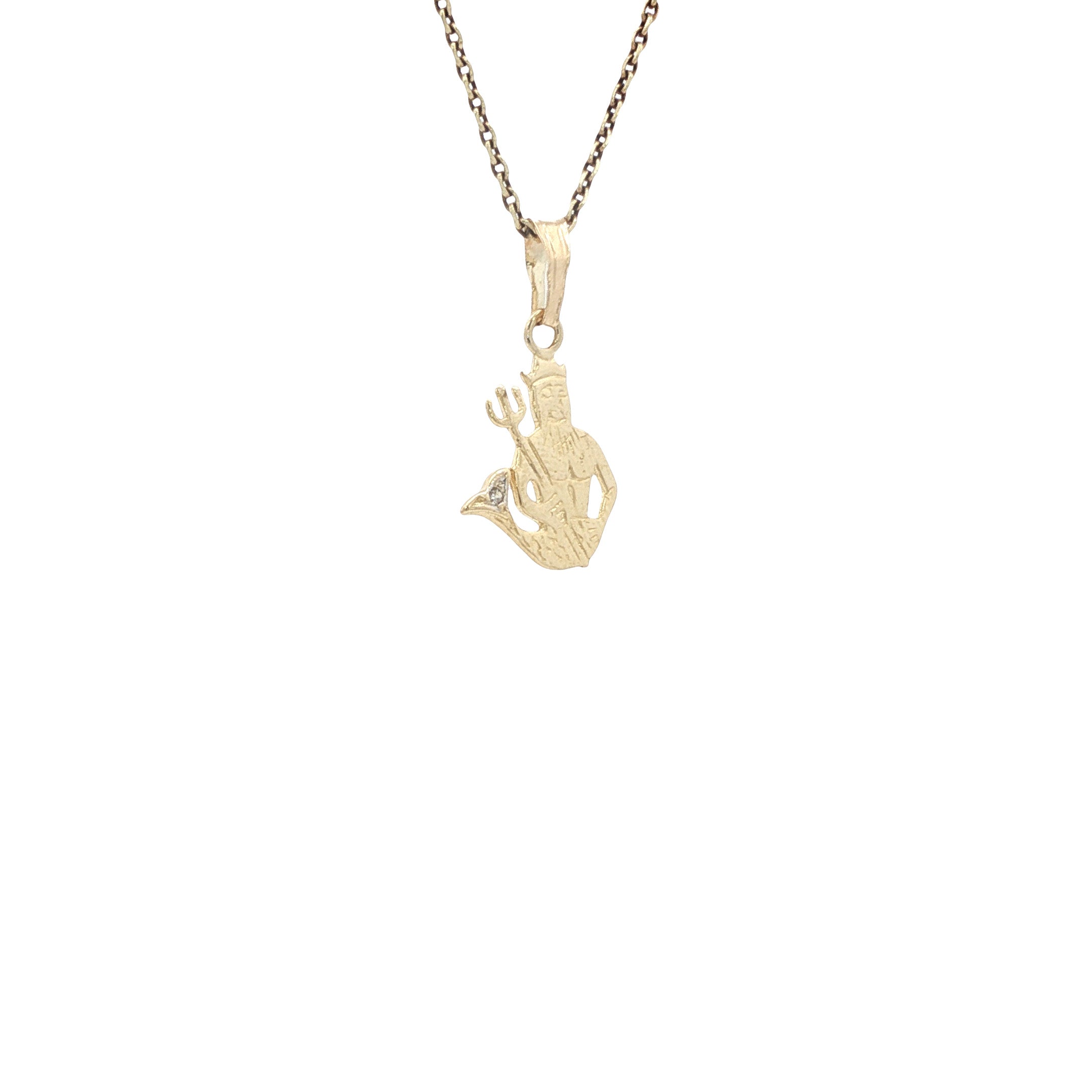 Gouden sterrenbeeld hanger waterman 14 karaat