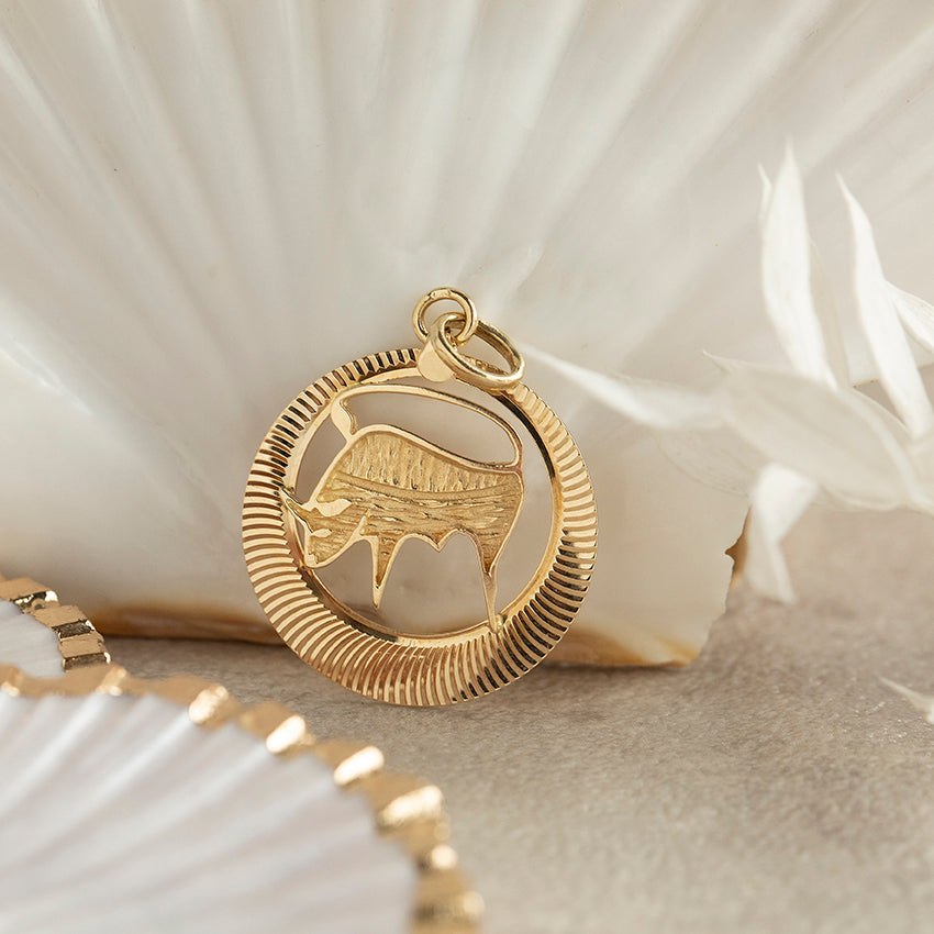 Gouden sterrenbeeld hanger stier 14 karaat