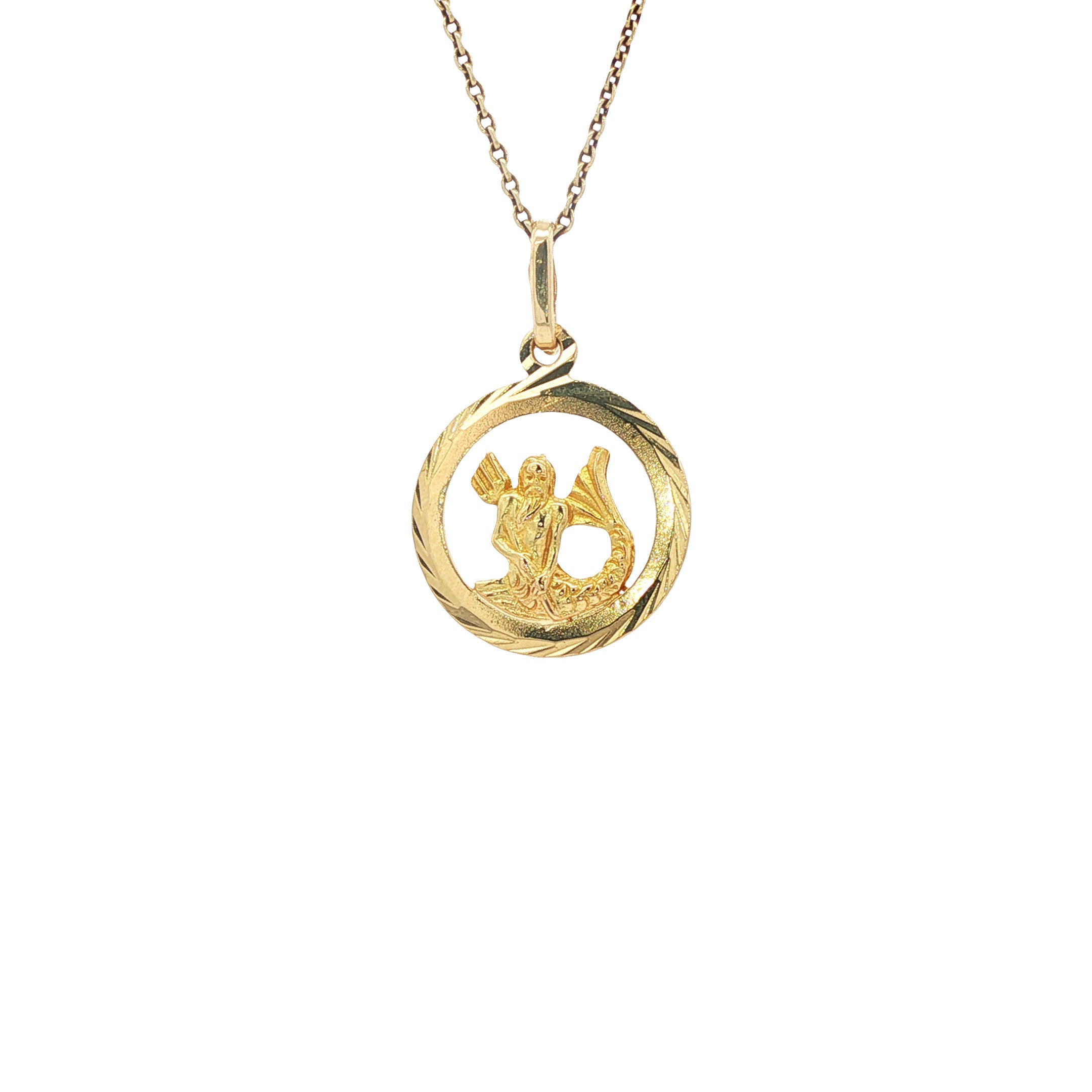 Gouden sterrenbeeld hanger waterman 14 karaat
