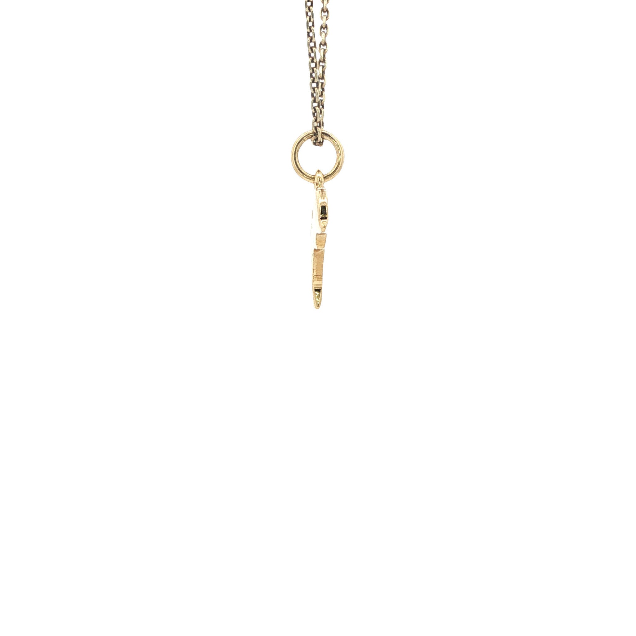 Gouden Dodo hanger dolfijn 18 karaat