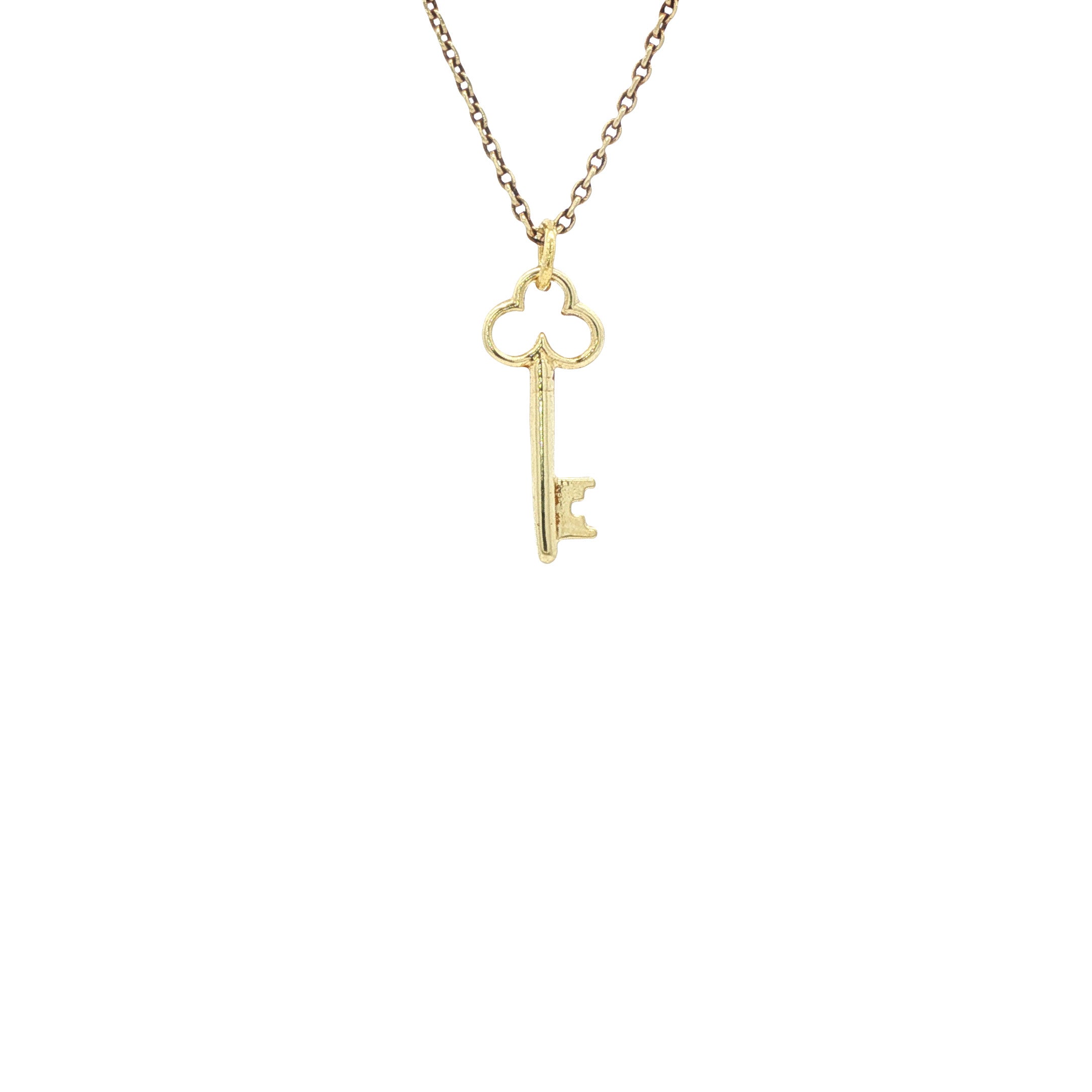 Gouden hanger sleutel 14 karaat