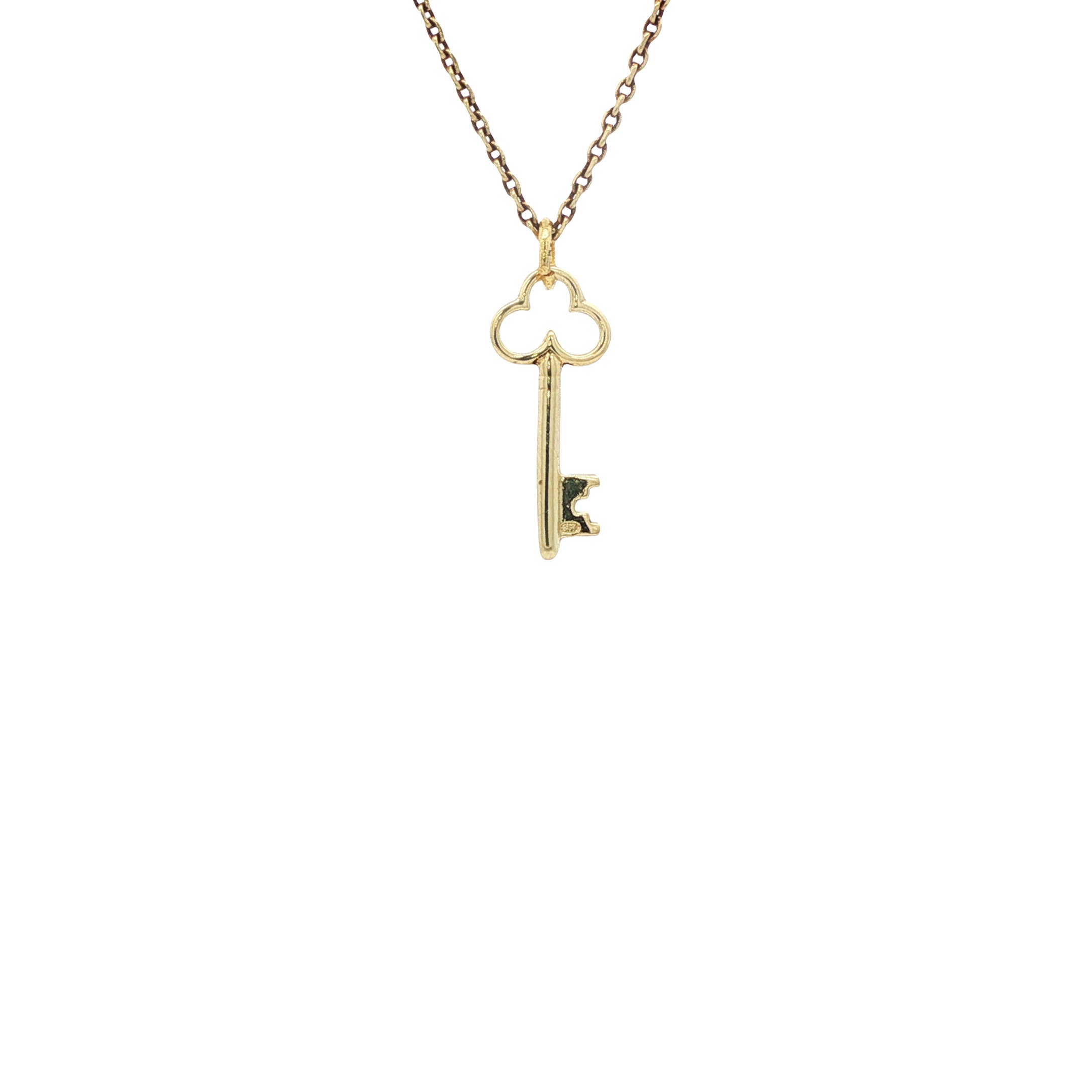 Gouden hanger sleutel 14 karaat