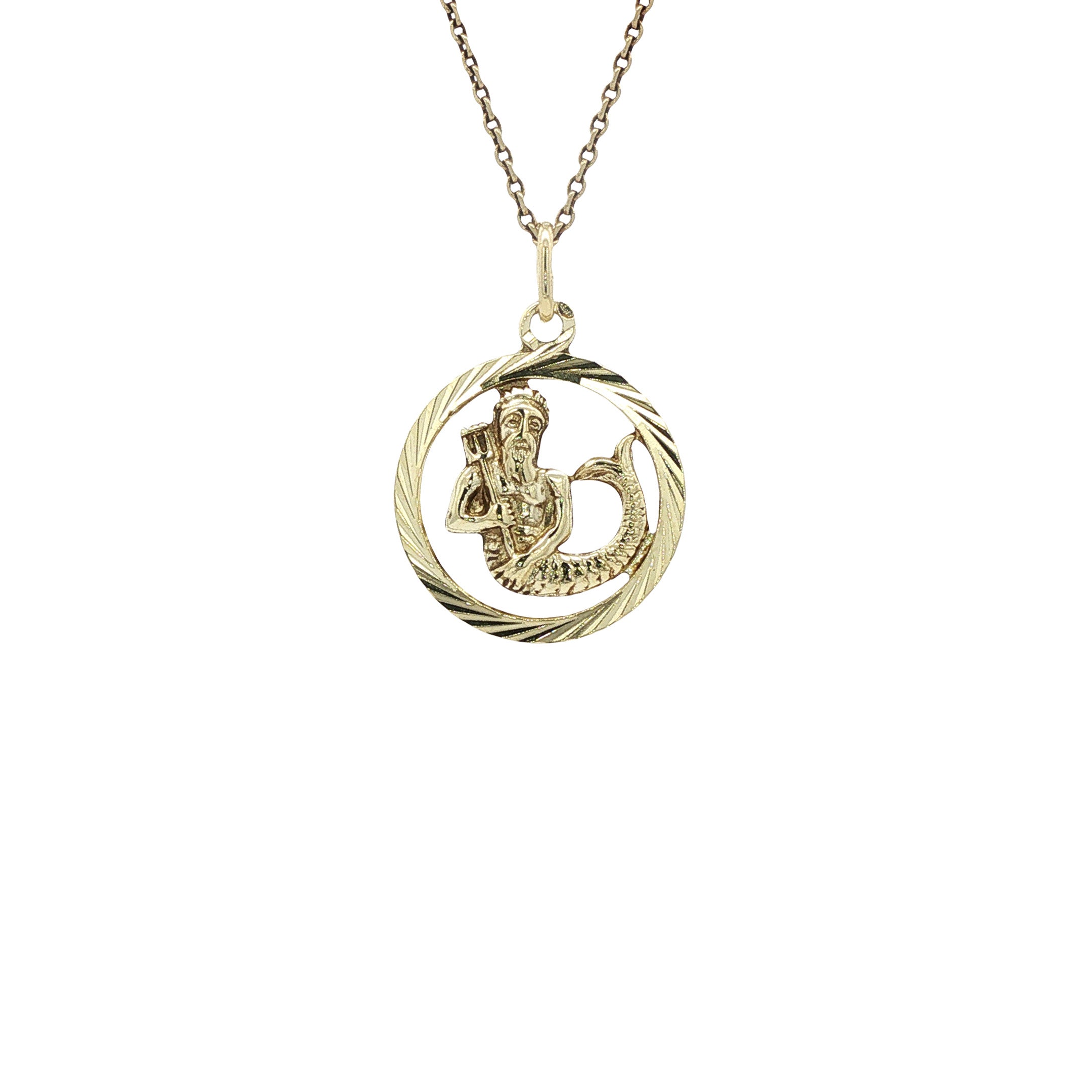 Gouden sterrenbeeld hanger waterman 14 karaat