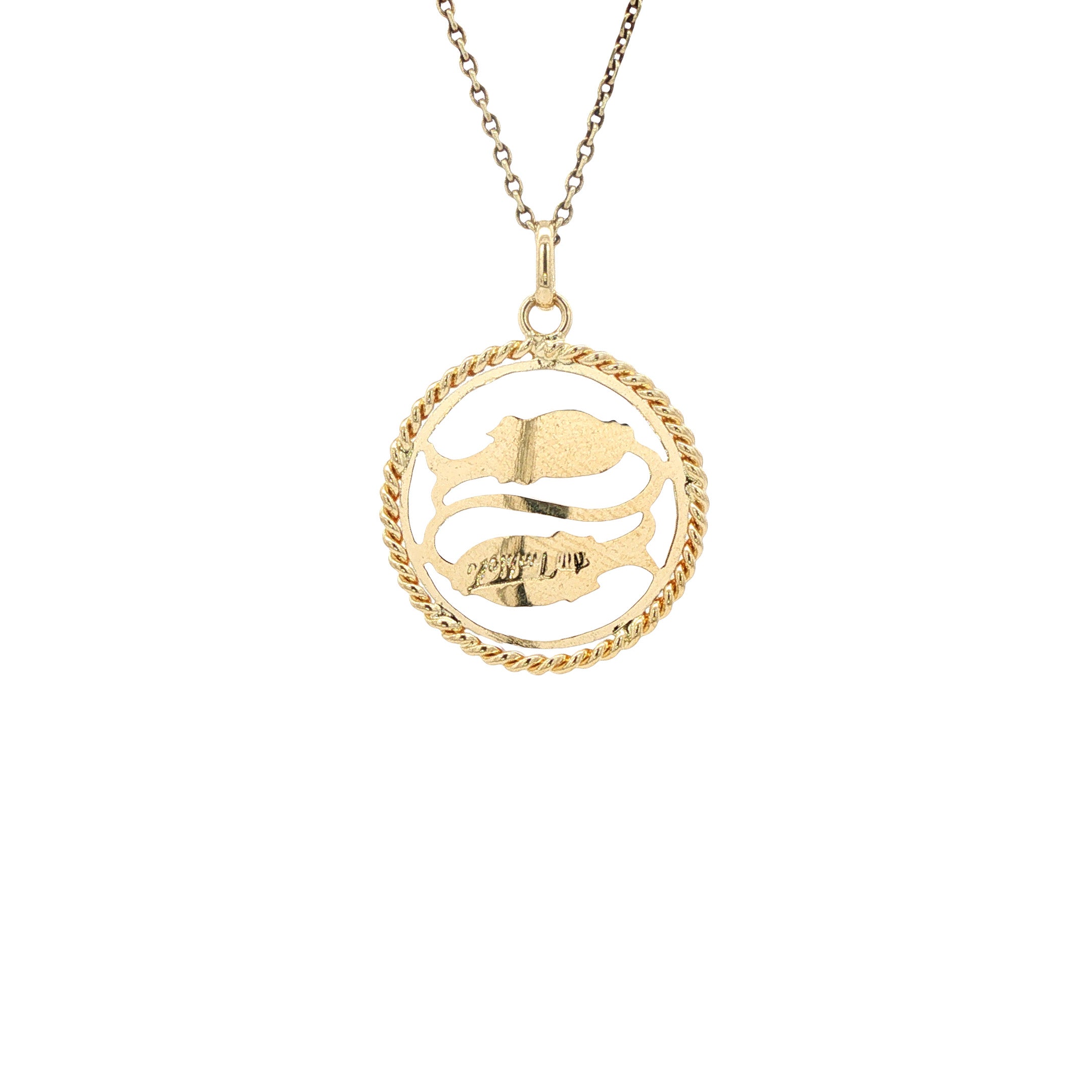 Gouden sterrenbeeld hanger vissen 14 karaat