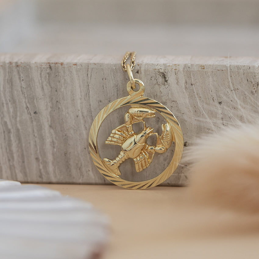 Gouden sterrenbeeld hanger kreeft 14 karaat