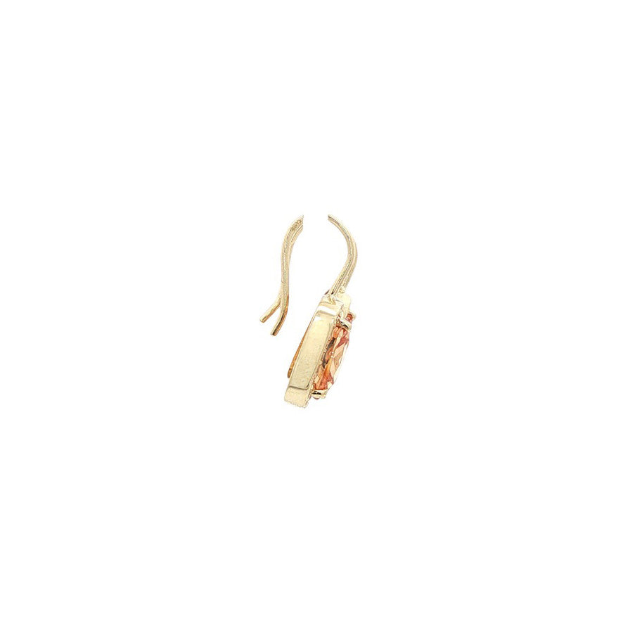 Gouden oorhangers met zirkonia van Blush 14 karaat