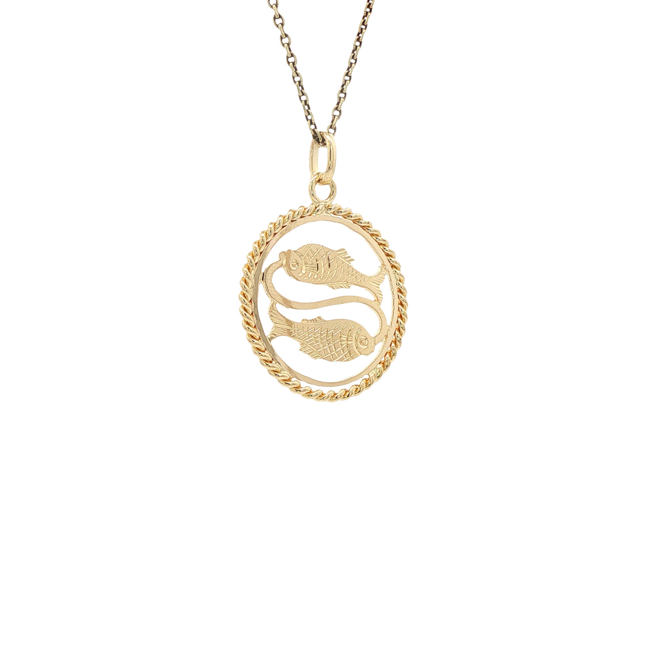 Gouden sterrenbeeld hanger vissen 14 karaat