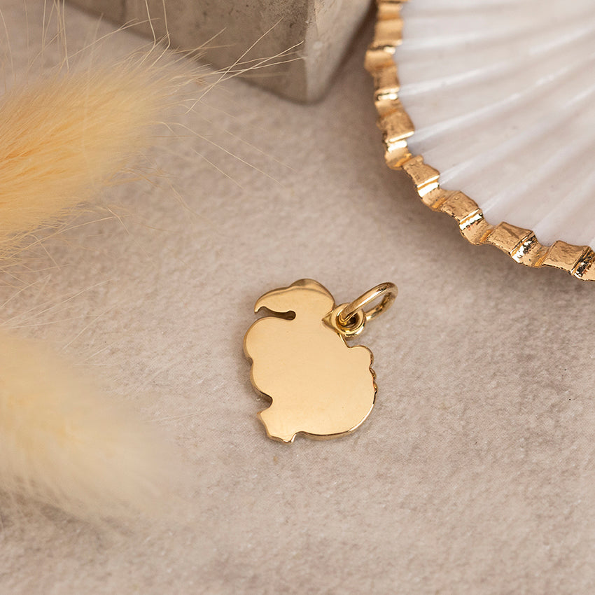 Gouden Dodo hanger 18 karaat