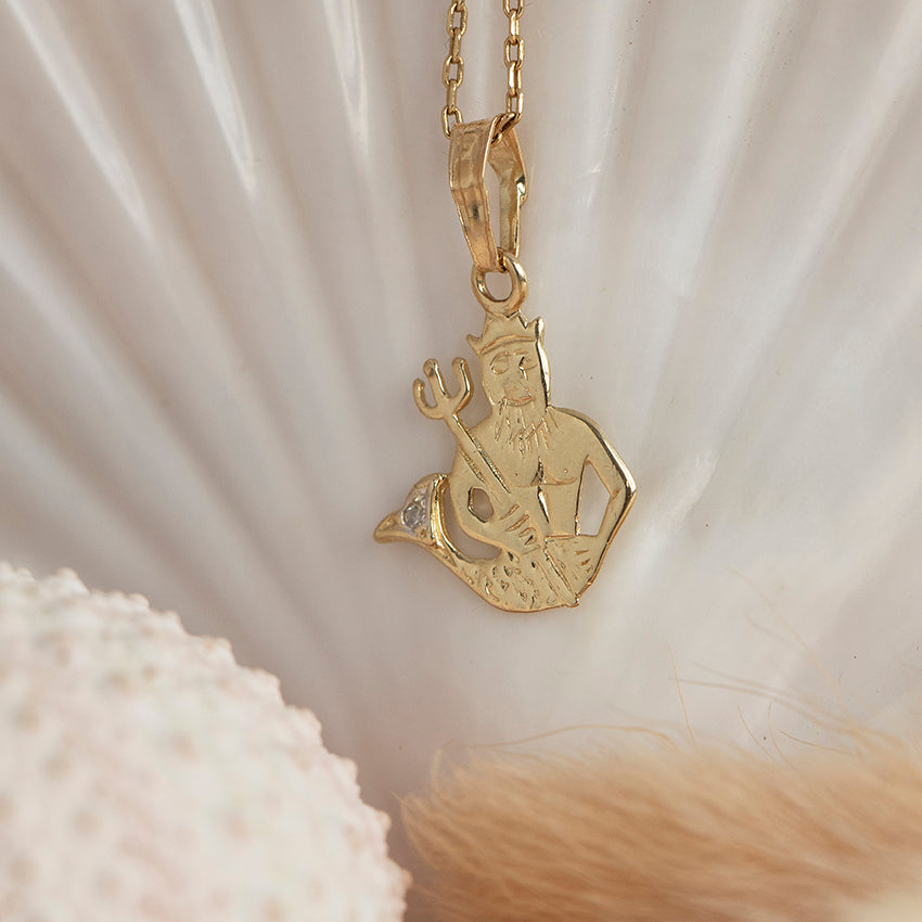 Gouden sterrenbeeld hanger waterman 14 karaat