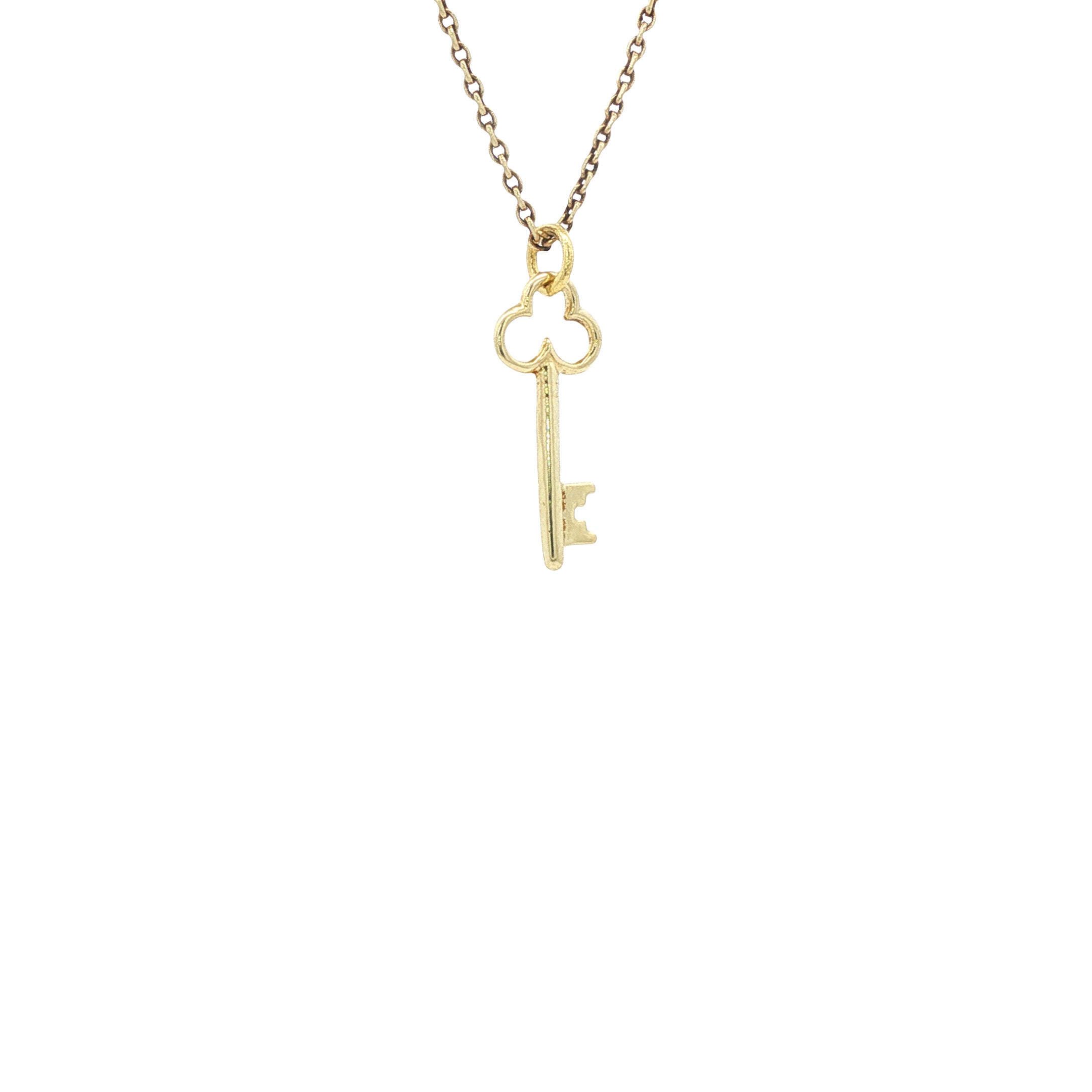 Gouden hanger sleutel 14 karaat