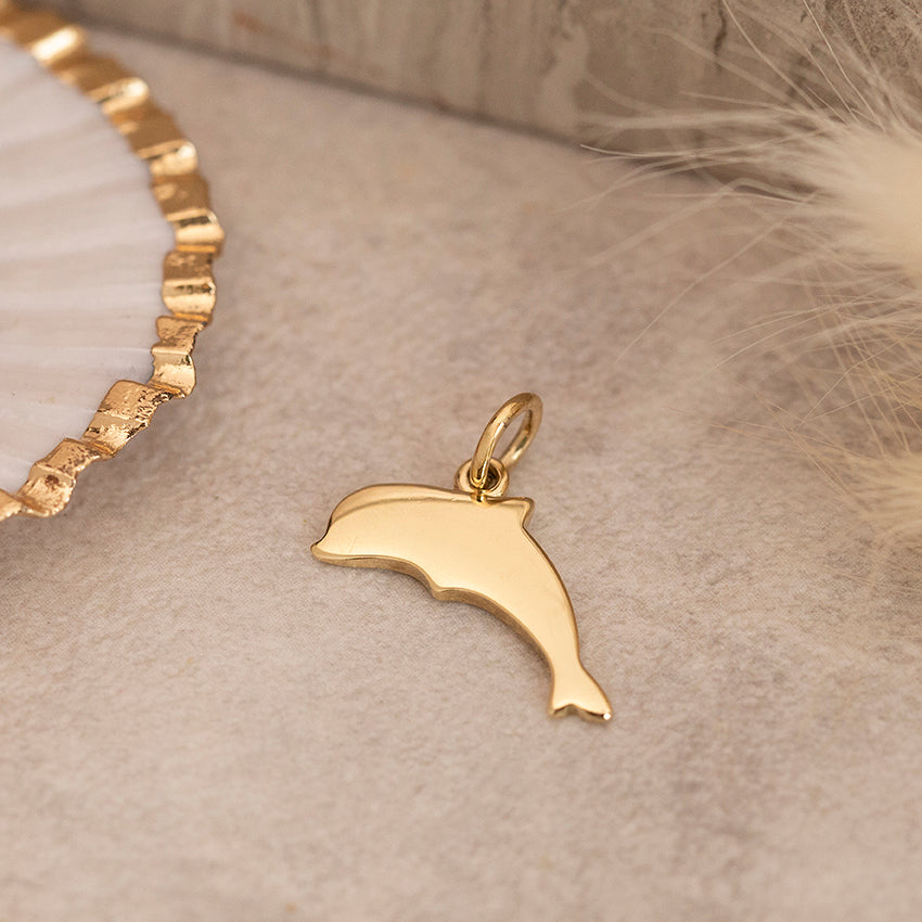 Gouden Dodo hanger dolfijn 18 karaat