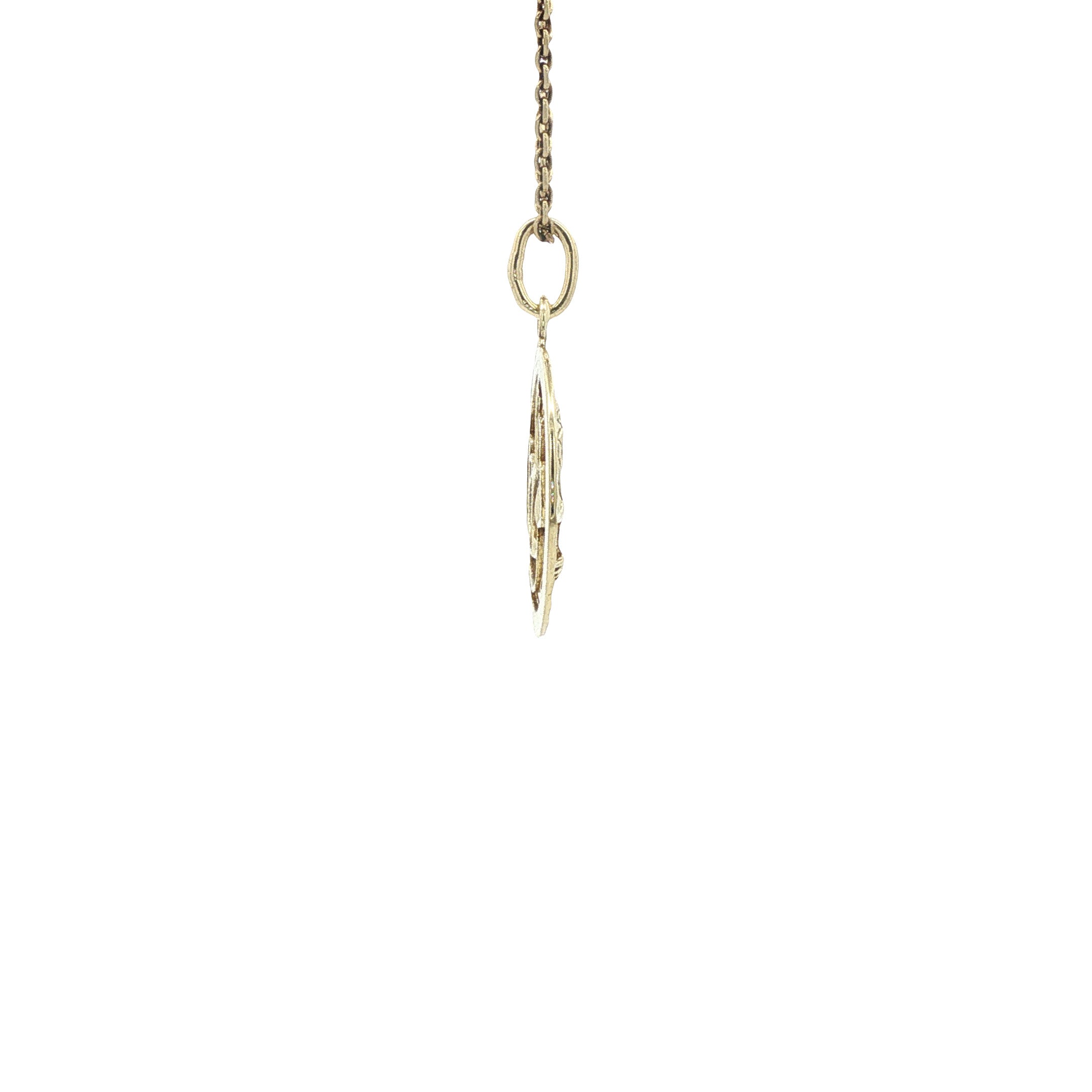 Gouden sterrenbeeld hanger waterman 14 karaat