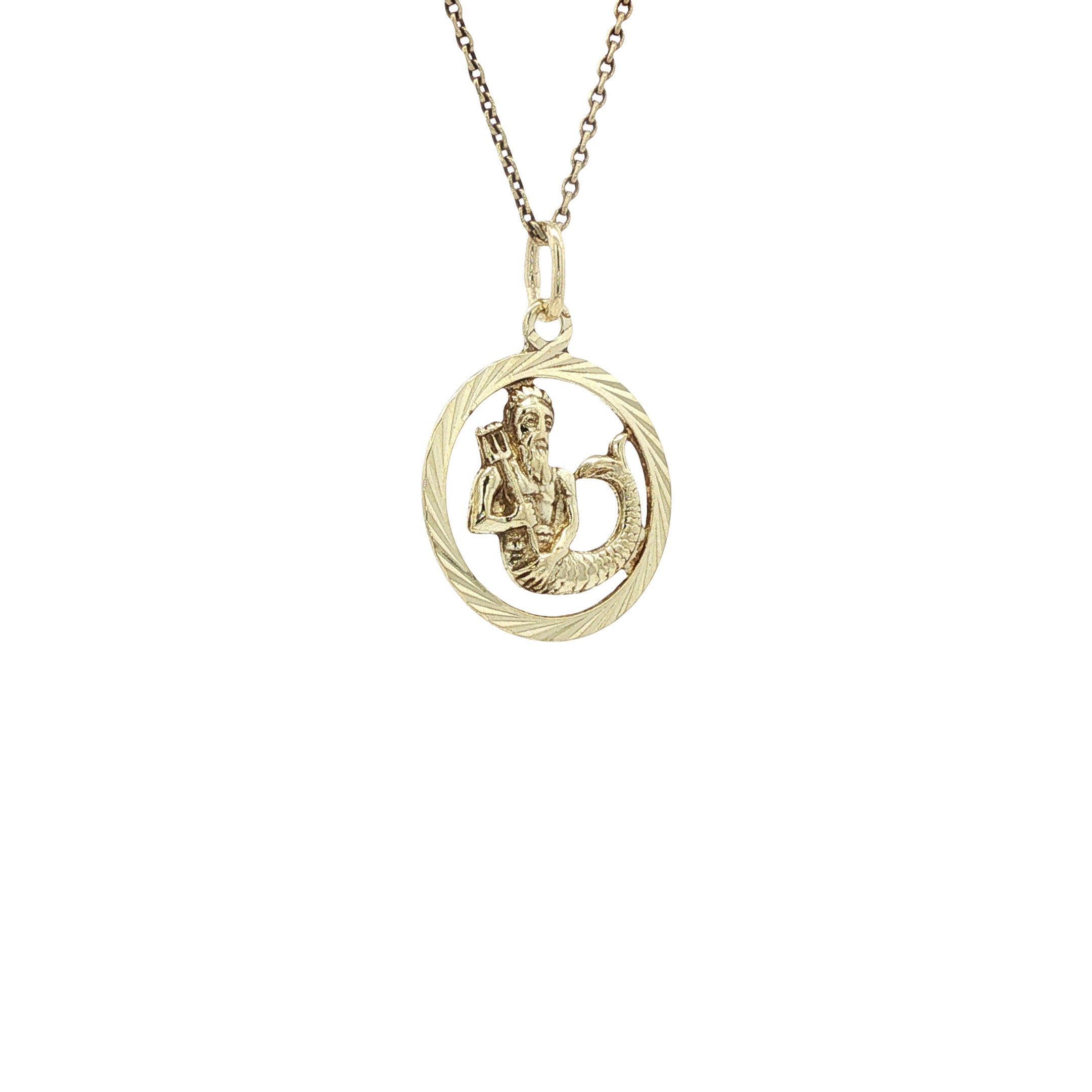 Gouden sterrenbeeld hanger waterman 14 karaat