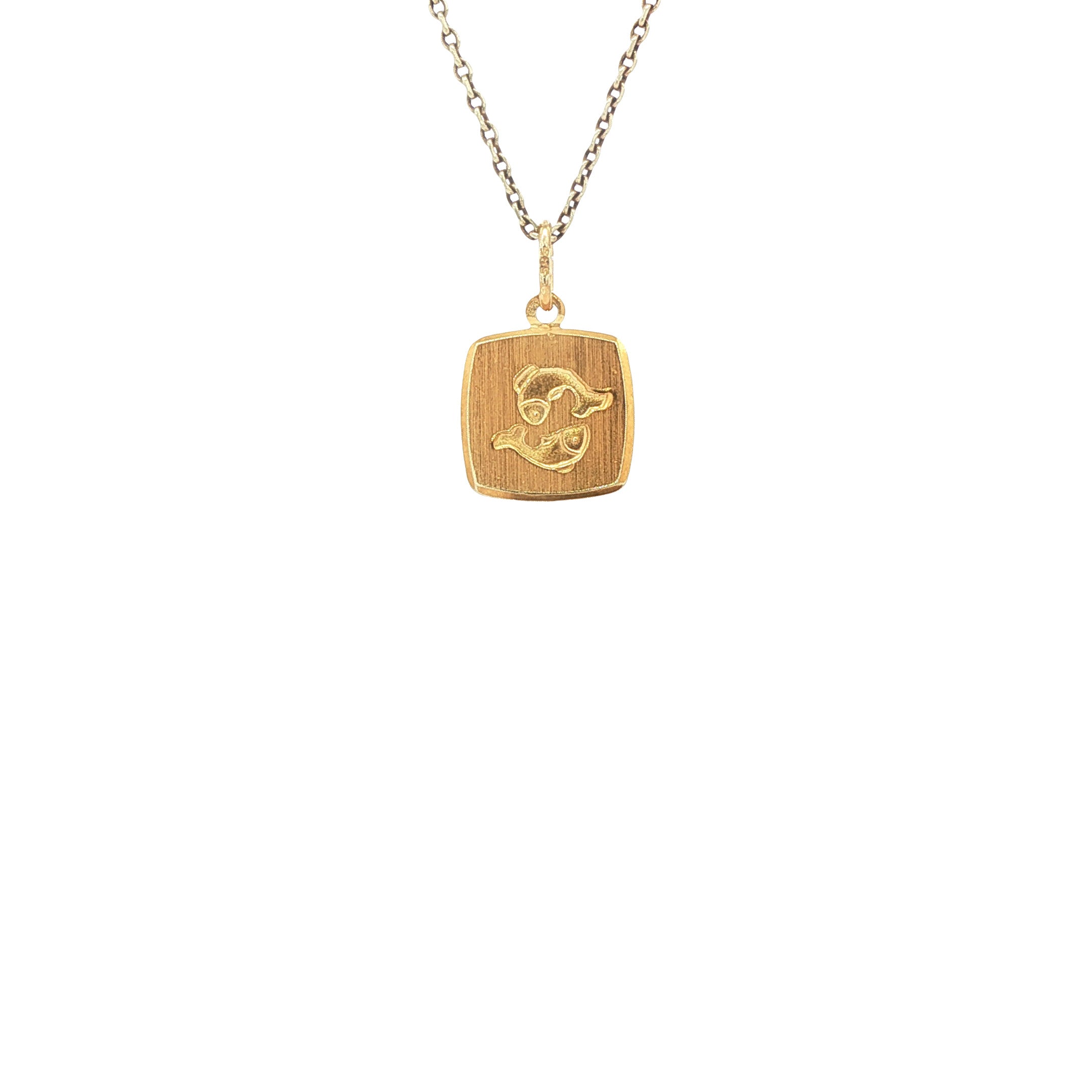 Gouden sterrenbeeld hanger vissen 14 karaat