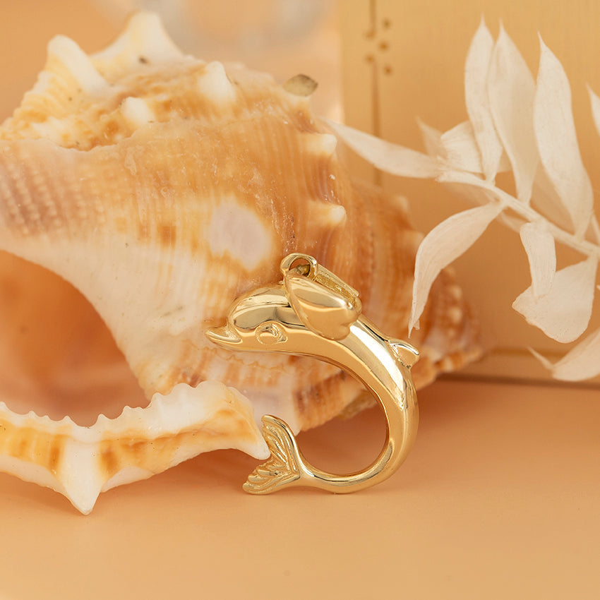Gouden hanger dolfijn 14 karaat