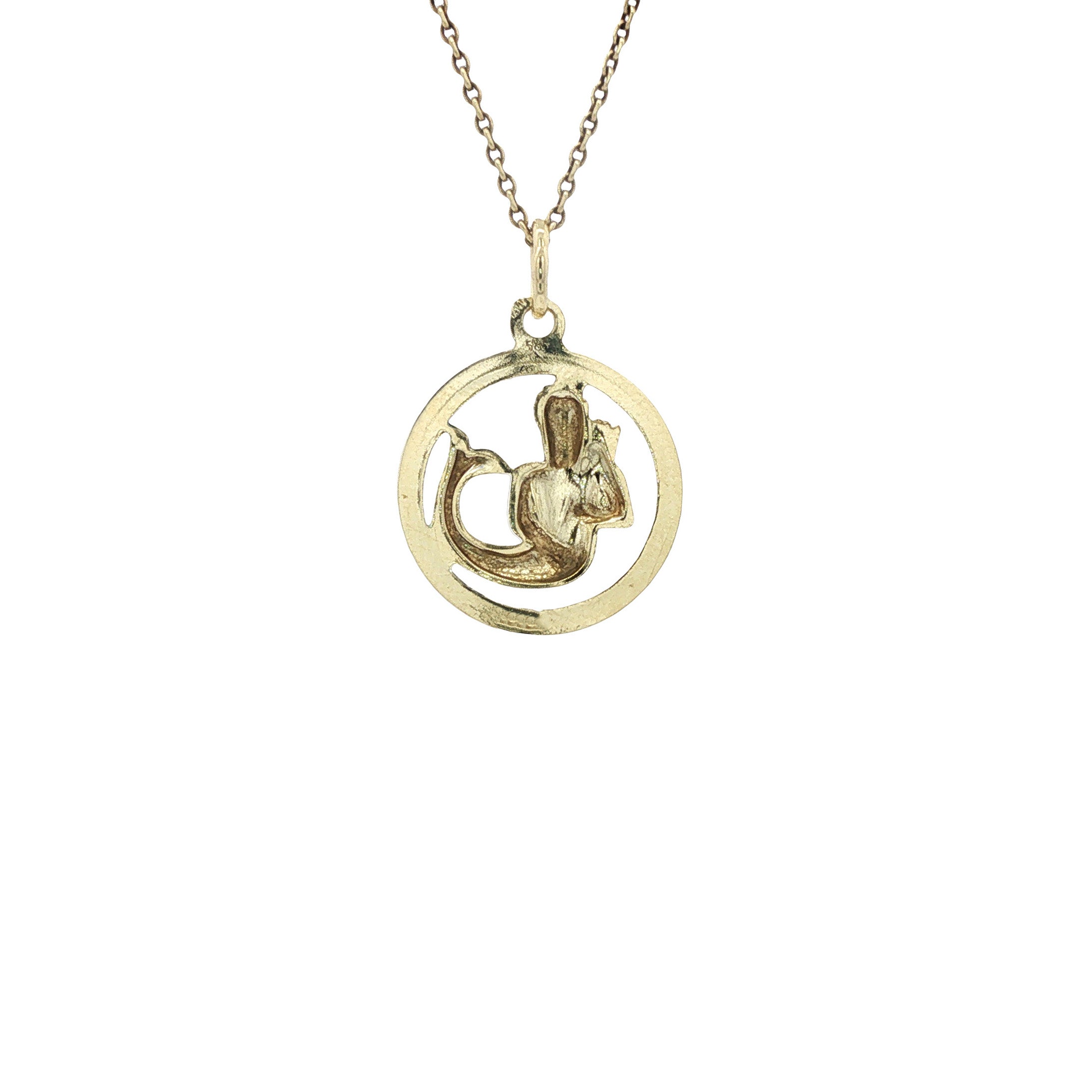 Gouden sterrenbeeld hanger waterman 14 karaat