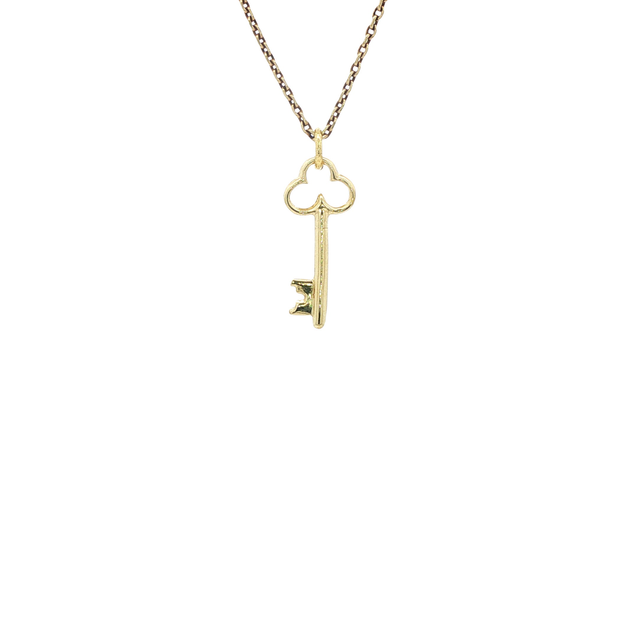 Gouden hanger sleutel 14 karaat
