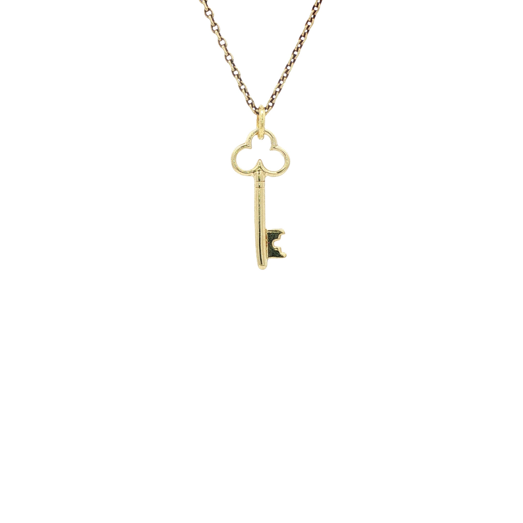 Gouden hanger sleutel 14 karaat